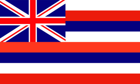 Hawaii(USA) flagのイラスト素材