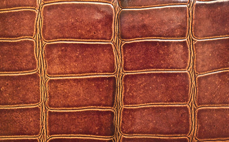 crocodile leather, closeup 