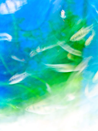 underwater motionの写真素材