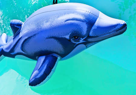air dolphinの写真素材