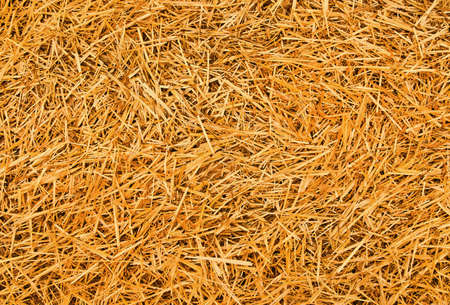 straw backgroundの写真素材