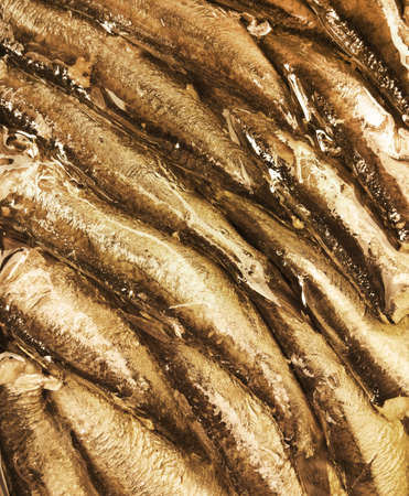 conserved smoked oily fishの写真素材