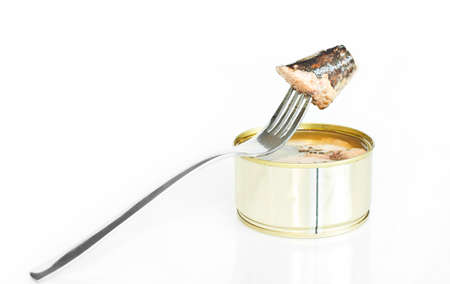 canned tunaの写真素材