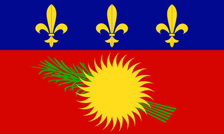 flag of Guadeloupe  french island のイラスト素材