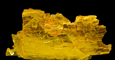 sulphur  succinite の写真素材