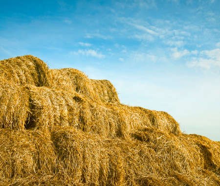 giant haystackの写真素材