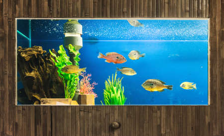 luxury aquariumの写真素材