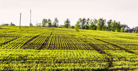 fresh ploughlandの写真素材