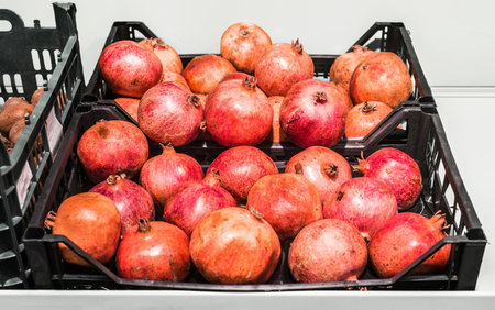 packaging pomegranatesの写真素材