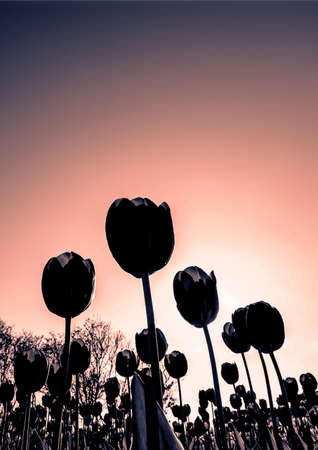 abstract tulipsの写真素材