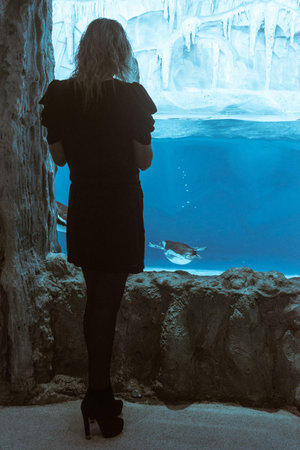 girl near the penguin aquariumの写真素材