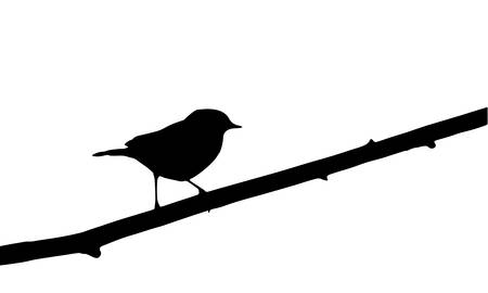 bird on branchのイラスト素材