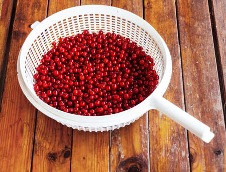 red currants in sieveの写真素材
