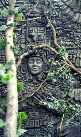 rock fretwork in jungleの写真素材