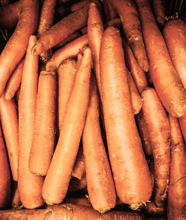 fresh carrotsの写真素材
