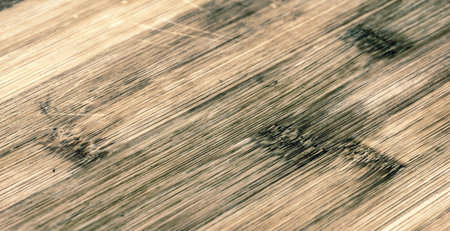 finished palm woodの写真素材