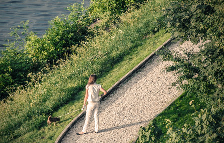 girl dog-ownerの写真素材