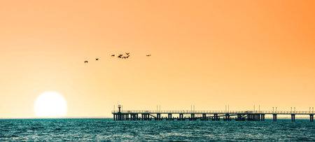 marine sunsetの写真素材