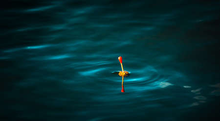 fishing floater at darkの写真素材