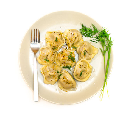 meat dumplings, dishの写真素材