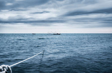 fishermen check the entangling netの写真素材