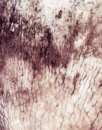 natural grunge backgroundの写真素材