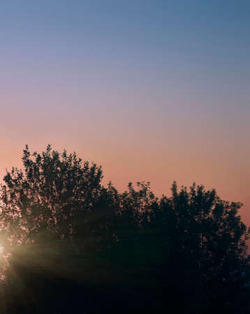 sunset behind treesの写真素材