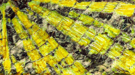 yellow crystal mines within enclosing rockの写真素材