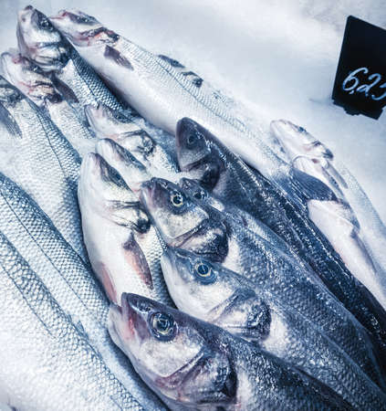 fishes close upの写真素材