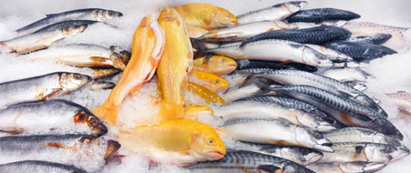 assortment of the fresh fish 
