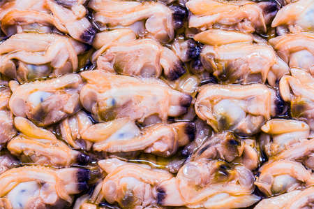 preserved musselsの写真素材