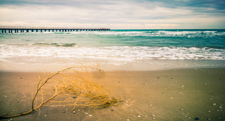 stormy seascapeの写真素材