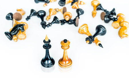 conceptual chess ending; perpetual check