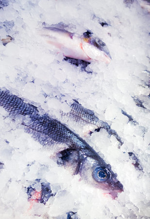 fresh fish in marketの写真素材