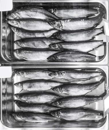 freshly salted herring in marketの写真素材