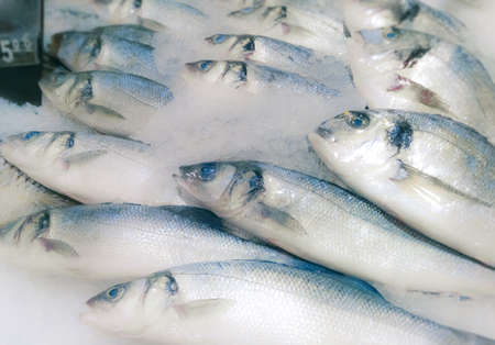 fresh sea fish in marketの写真素材