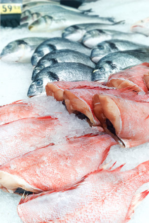 assortment of the sea fish