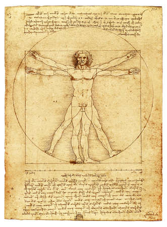 The Vitruvian Man by Leonardo Da Vinci, parchment copy on white