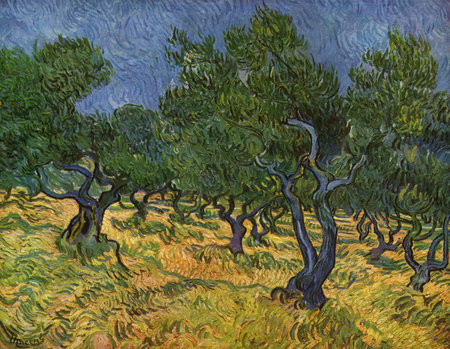 the Olive Trees (Serie) by Vincent Van Gogh 1889. The Kroller-Muller Museum in Otterlo, Netherlandsのeditorial素材