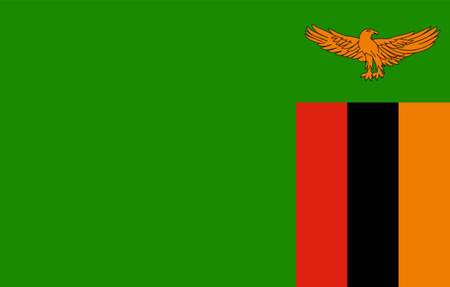 close up flag of Zambiaのイラスト素材