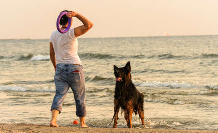 female dog owner with his long-haired German Shepherd trains at sea beachの写真素材