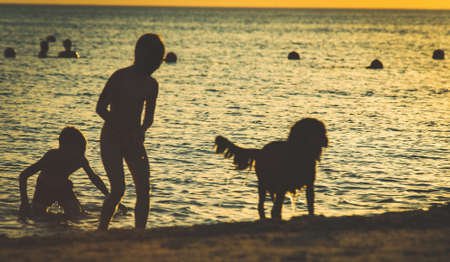 children and dog on sea beach at sunsetの写真素材