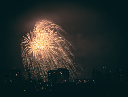 abstract firework in the night city