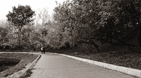 people walking along urban park walkway