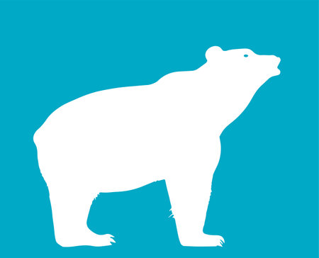white polar bear, abstract silhouetteのイラスト素材
