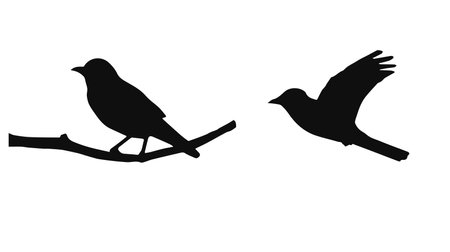 pair of birds silhouette setのイラスト素材