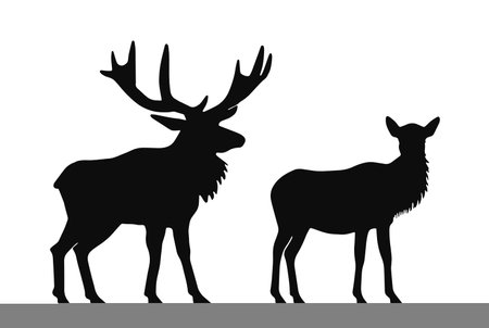 moose deer pair vector silhouette setのイラスト素材