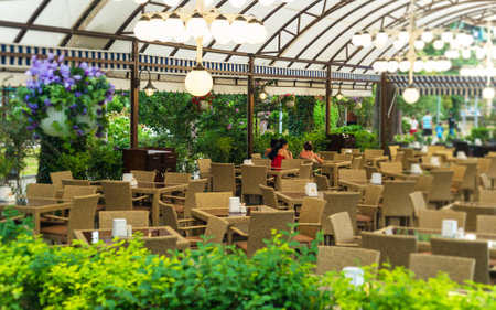 summer open air cafe restaurantの写真素材