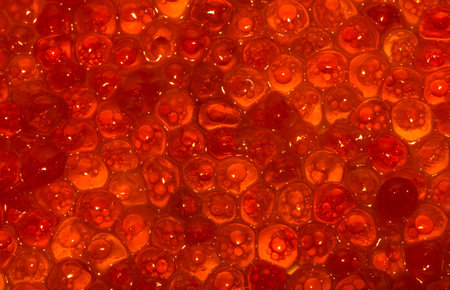 the salmon red caviar; closeupの写真素材