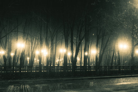boulevard at foggy rainy nightの写真素材